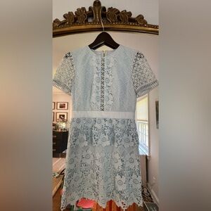 Ted Baker Dixa Lace Skater Dress